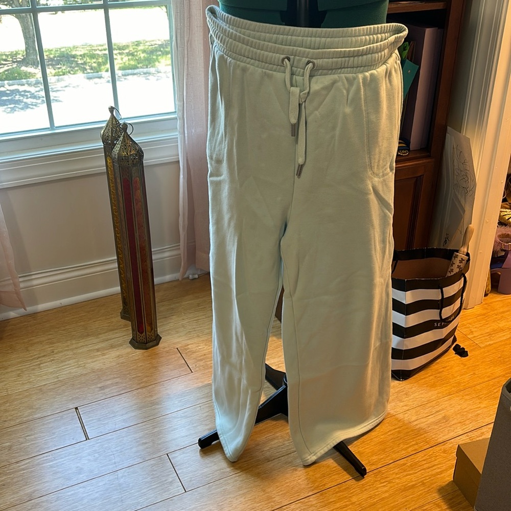 Savage x fenty mint sweatpants
